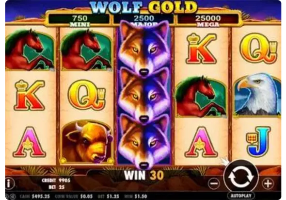 Wolf Gold